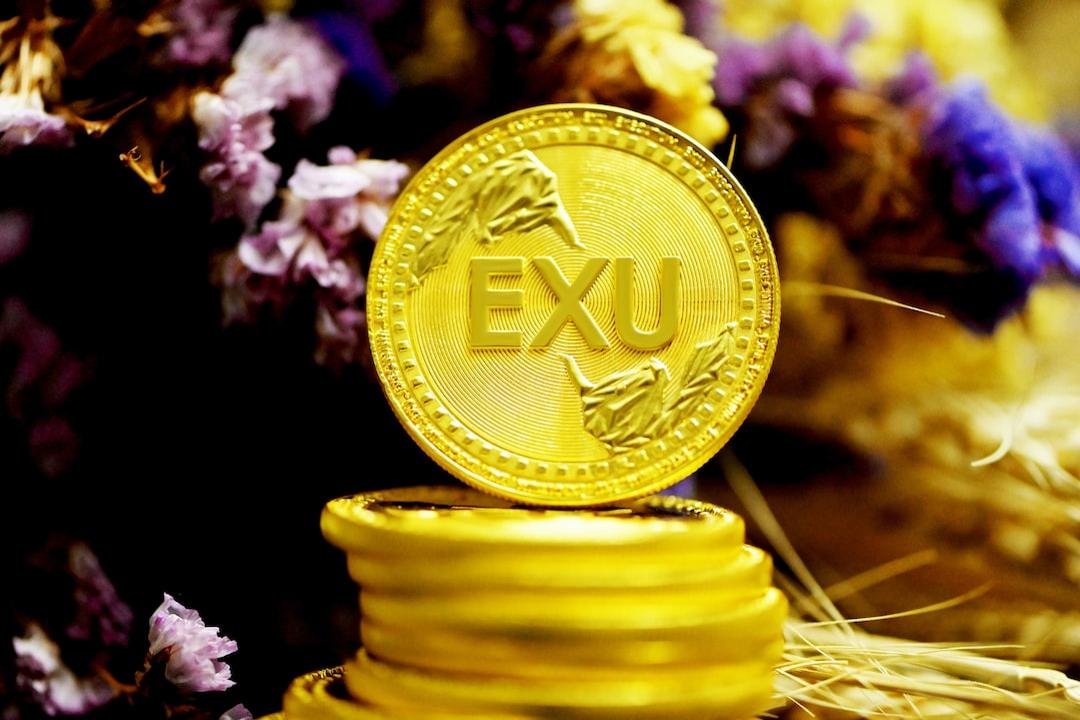 엑셀라, 업비트 원화 마켓 상장 첫 날 2억 2천만 달러 거래… BTC 및 XRP 거래량 초과